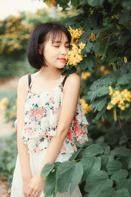 疯狂动物城2(国语版)